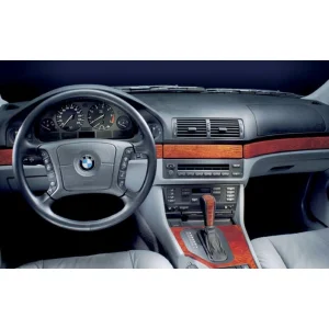 Radio BMW Serie 5 del 1995 al 2003, X5 del 2000 al 2006