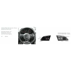 Mandos volante Audi A1 8X año 2010