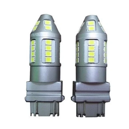 Bombillas super LED blanco posición, 2 filamentos, CANBUS 12V 24V