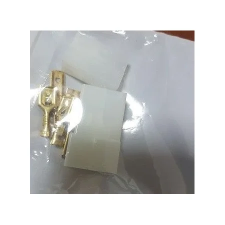 Conjunto conector con terminales 2 contactos