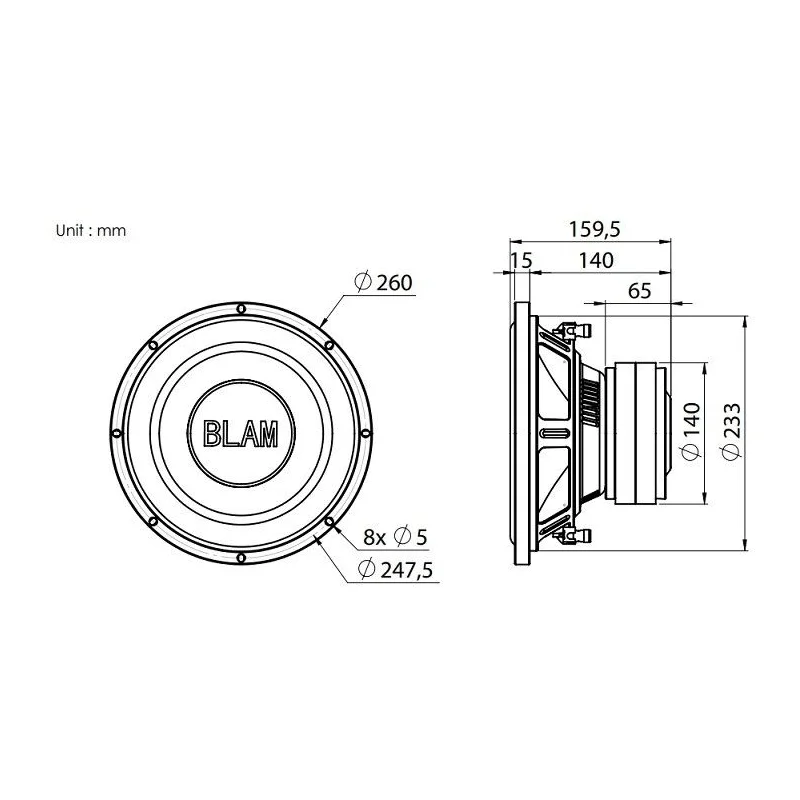 Blam Audio LSP25, Subwoofer 25cm (10"). Potencia máxima 600W / potencia RMS 300W