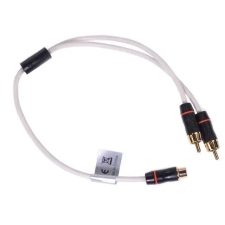 Fusion MS RCAYM, Derivación RCA 1 hembra 2 machos