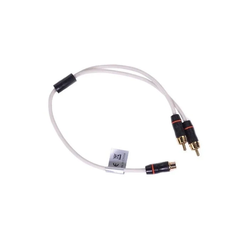 Fusion MS RCAYM, Derivación RCA 1 hembra 2 machos