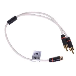 Fusion MS RCAYM, Derivación RCA 1 hembra 2 machos