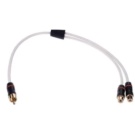 Fusion MS RCAYF, Derivación RCA 1 macho 2 hembras