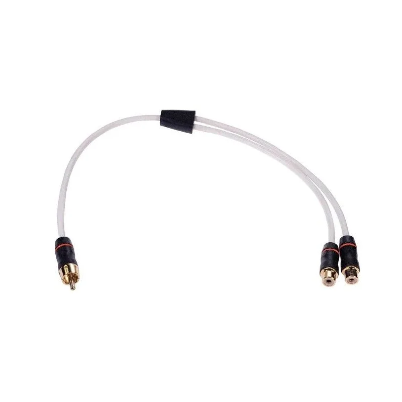 Fusion MS RCAYF, Derivación RCA 1 macho 2 hembras