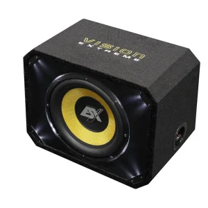 ESX VE300 Subwoofer Bass Reflex de 12" (30 cm)