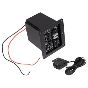 ESX Audio POWER2, Amplificador mono canal