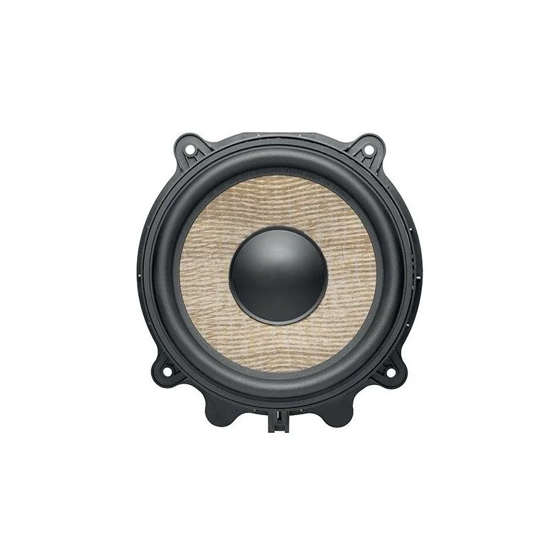 Subwoofer 20cm para Tesla Model 3 y Model Y, Focal IWT3Y200