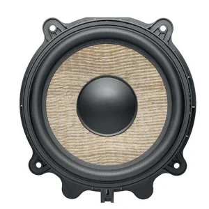 Subwoofer 20cm para Tesla Model 3 y Model Y, Focal IWT3Y200