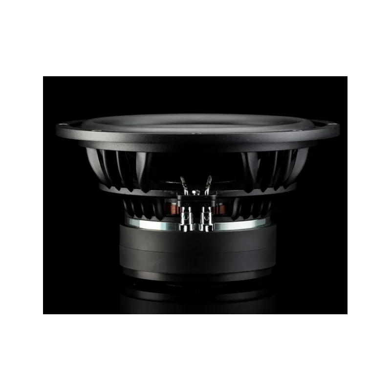 Subwoofer PRO 10 Gladen Audio