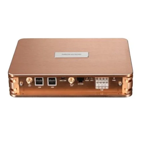 Goldhorn P2 DSP PRO, Reproductor de alta resolución