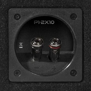 Rockford Fosgate P1 2X10 Subwoofer doble de 10" conexión