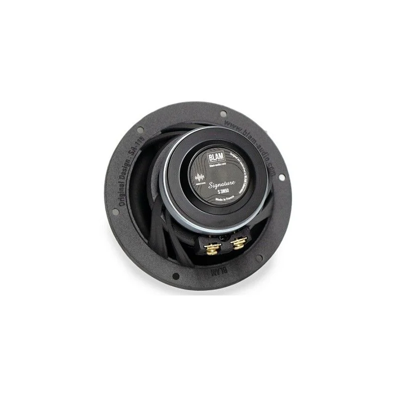 Blam Audio S3N50, altavoces de 80mm, medios, potencia RMS 25W