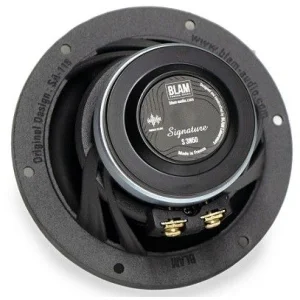 Blam Audio S3N50, altavoces de 80mm, medios, potencia RMS 25W