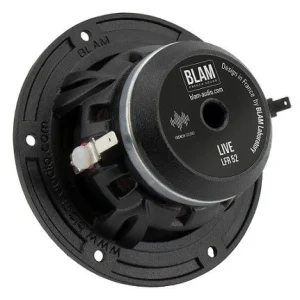 Blam Audio LFR52, altavoces coaxiales de 2"