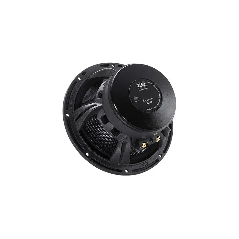 Blam Audio S165.100MG, altavoces 165mm, vías separadas. Potencia RMS 125W.
