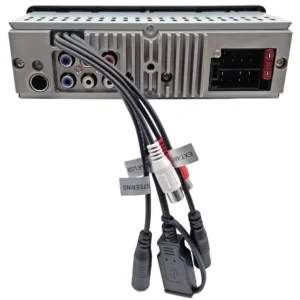 Radio Blaupunkt Dublin 412BT, conexiones traseras.