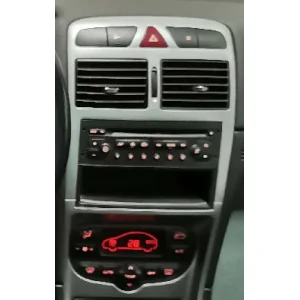 Radio OEM Peugeot 307 2002