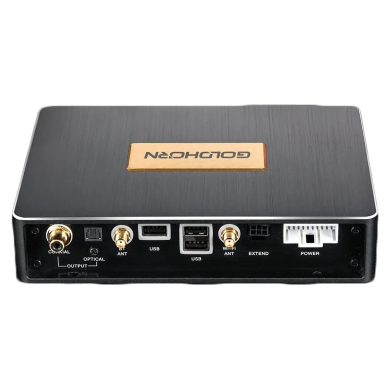 Panel de conexiones digitales con salida óptica, coaxial, puertos USB y antenas WiFi/Bluetooth del Goldhorn P2 PRO.