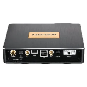Panel de conexiones digitales con salida óptica, coaxial, puertos USB y antenas WiFi/Bluetooth del Goldhorn P2 PRO.