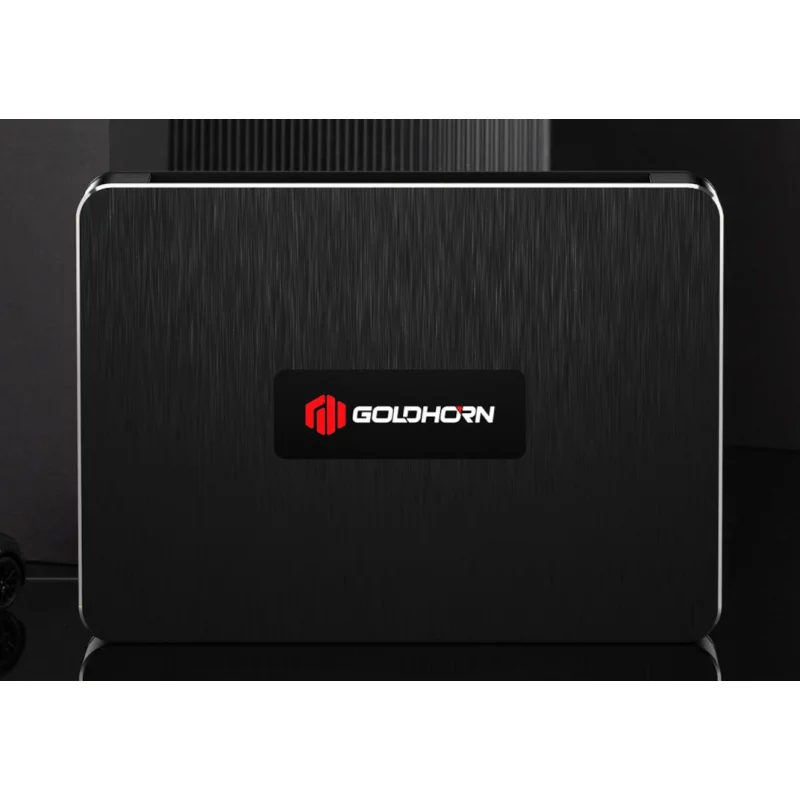 Vista superior y diseño compacto del amplificador High-End Clase AB Goldhorn DSPA 406 V2.0