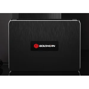 Vista superior y diseño compacto del amplificador High-End Clase AB Goldhorn DSPA 406 V2.0