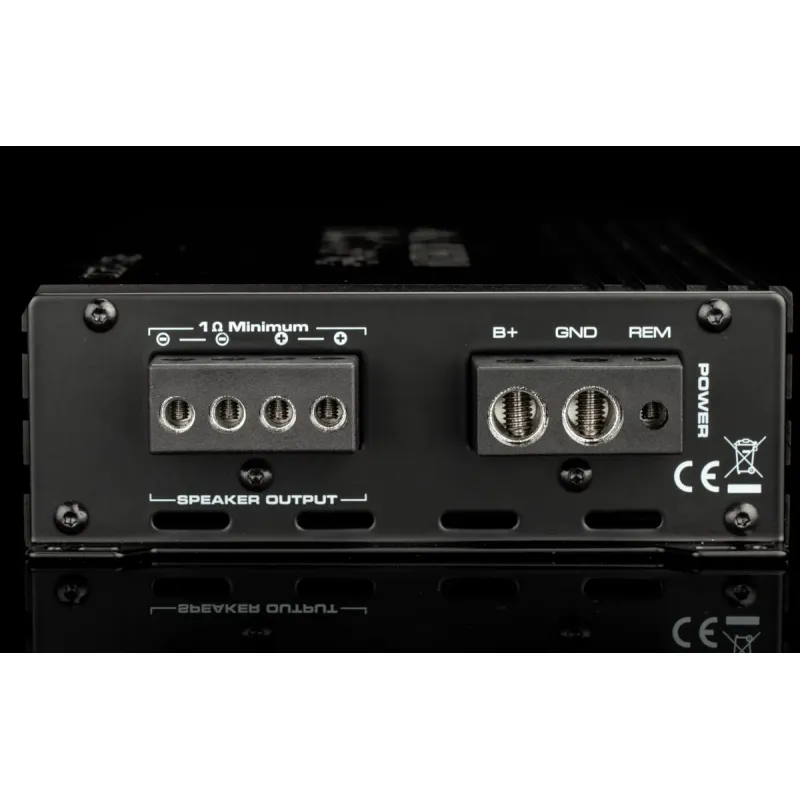 Salidas del amplificador Gladen RCore 1