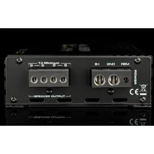 Salidas del amplificador Gladen RCore 1