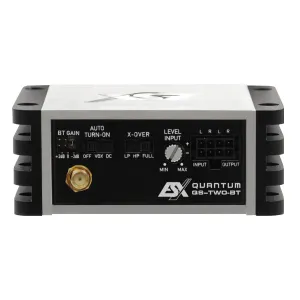 Vista de los inputs y outputs del amplificador ESX Quantum QS-TWO-BT