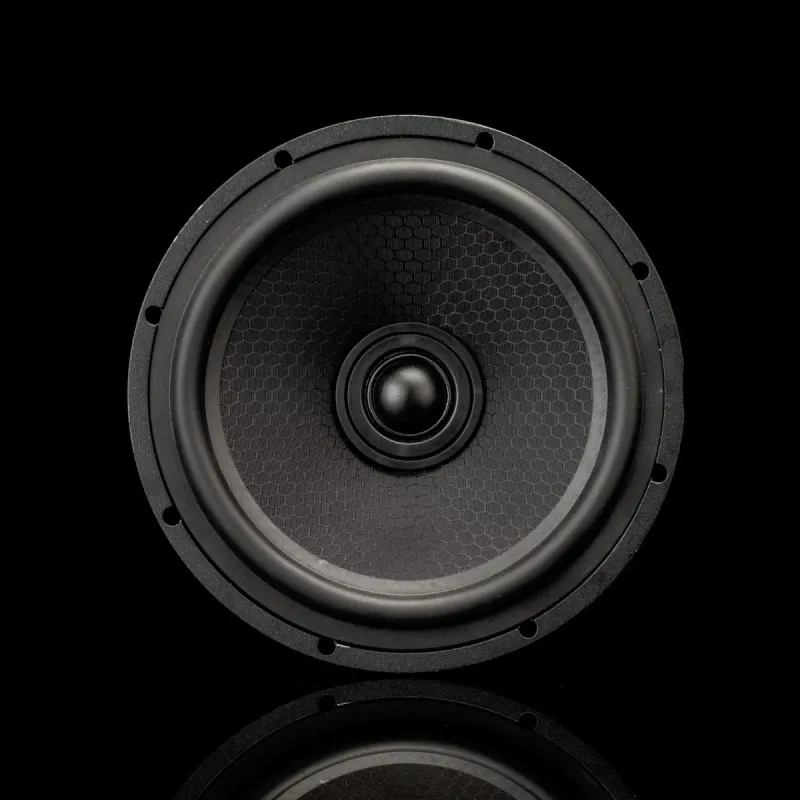 Vista frontal del cono de los altavoces coaxiales SIGMA 165-X
