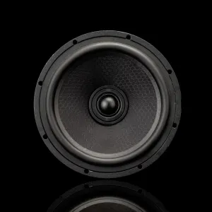 Vista frontal del cono de los altavoces coaxiales SIGMA 165-X