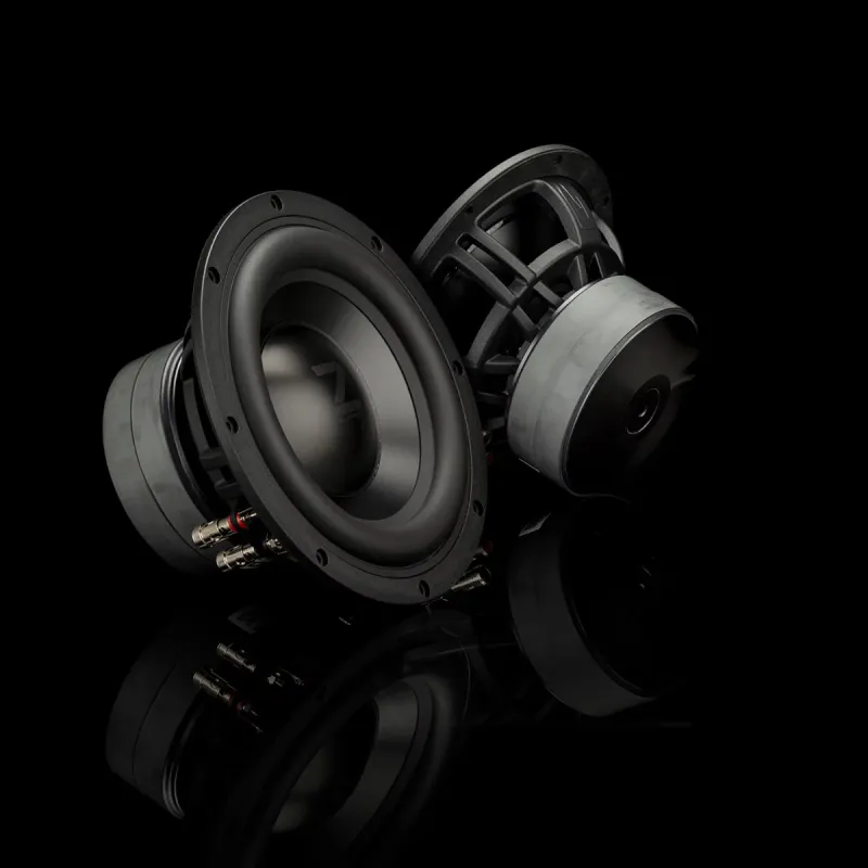 Vista general del subwoofer Gladen Zeta 08