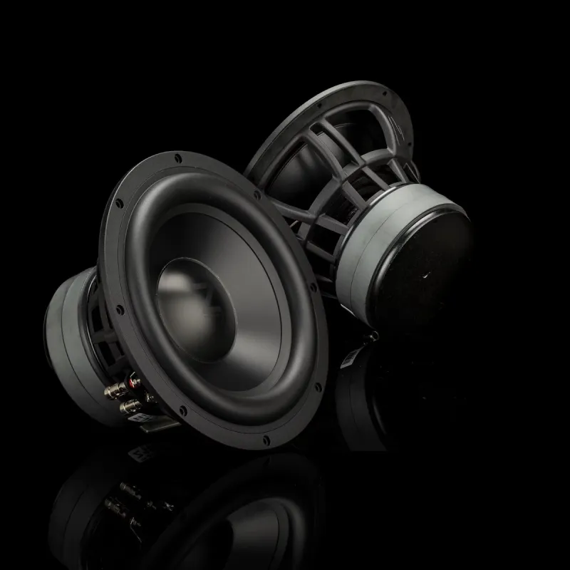 Vista general del subwoofer Gladen Zeta 10