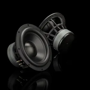 Vista general del subwoofer Gladen Zeta 10