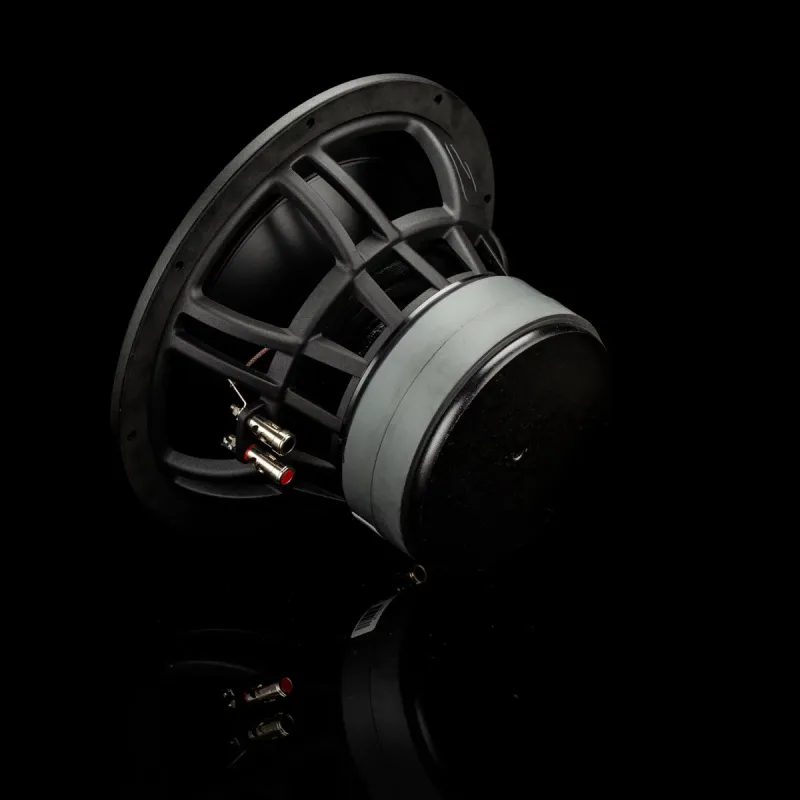 Vista de la parte trasera del subwoofer Gladen Zeta 10