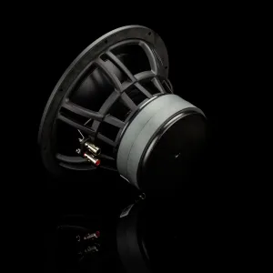 Vista de la parte trasera del subwoofer Gladen Zeta 10