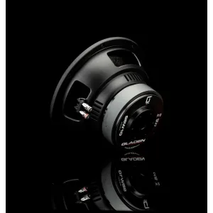Vista de la parte trasera del subwoofer Gladen Sigma SSW10