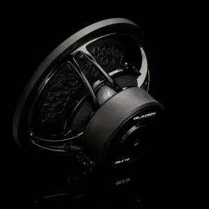Vista de la parte trasera del subwoofer Gladen RS-X 12