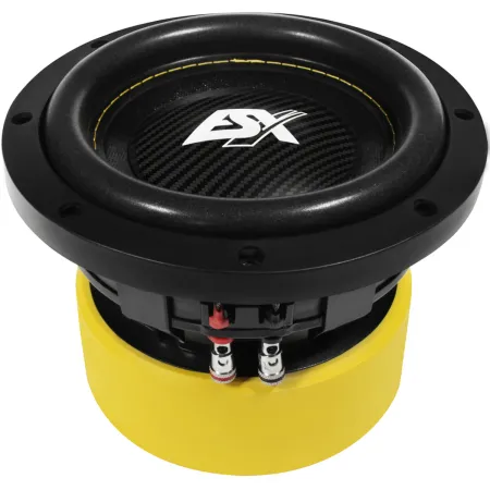 Vista general del subwoofer ESX Quantum QXE6D2