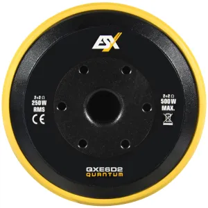 Vista de la parte trasera del subwoofer ESX Quantum QXE6D2