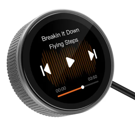 Controlador mostrando la interfaz de control de la música en streaming