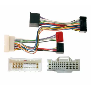 Conector amplificador y DSP Mitshubishi, Citroen C4