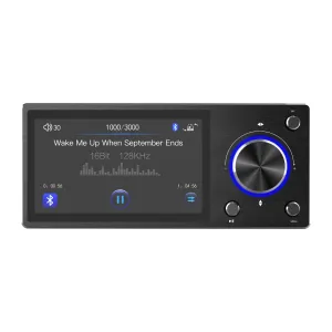 Goldhorn T3002 control remoto con pantalla IPS para manejar USB Bluetooth volumen y fuentes