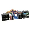 Conectores amplificador / DSP