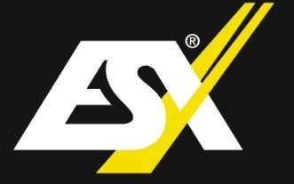 ESX Audio